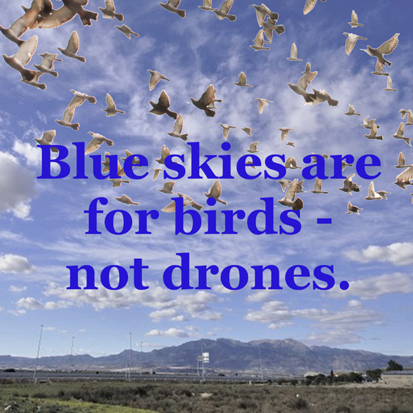 Blue skies are for birds - not drones.